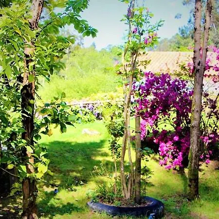 Casa de Férias House With 2 Bedrooms In With Wonderful Lake View Enclosed Garden And Wifi 2 Km From The Beach Castelo Do Neiva